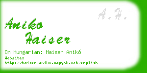 aniko haiser business card